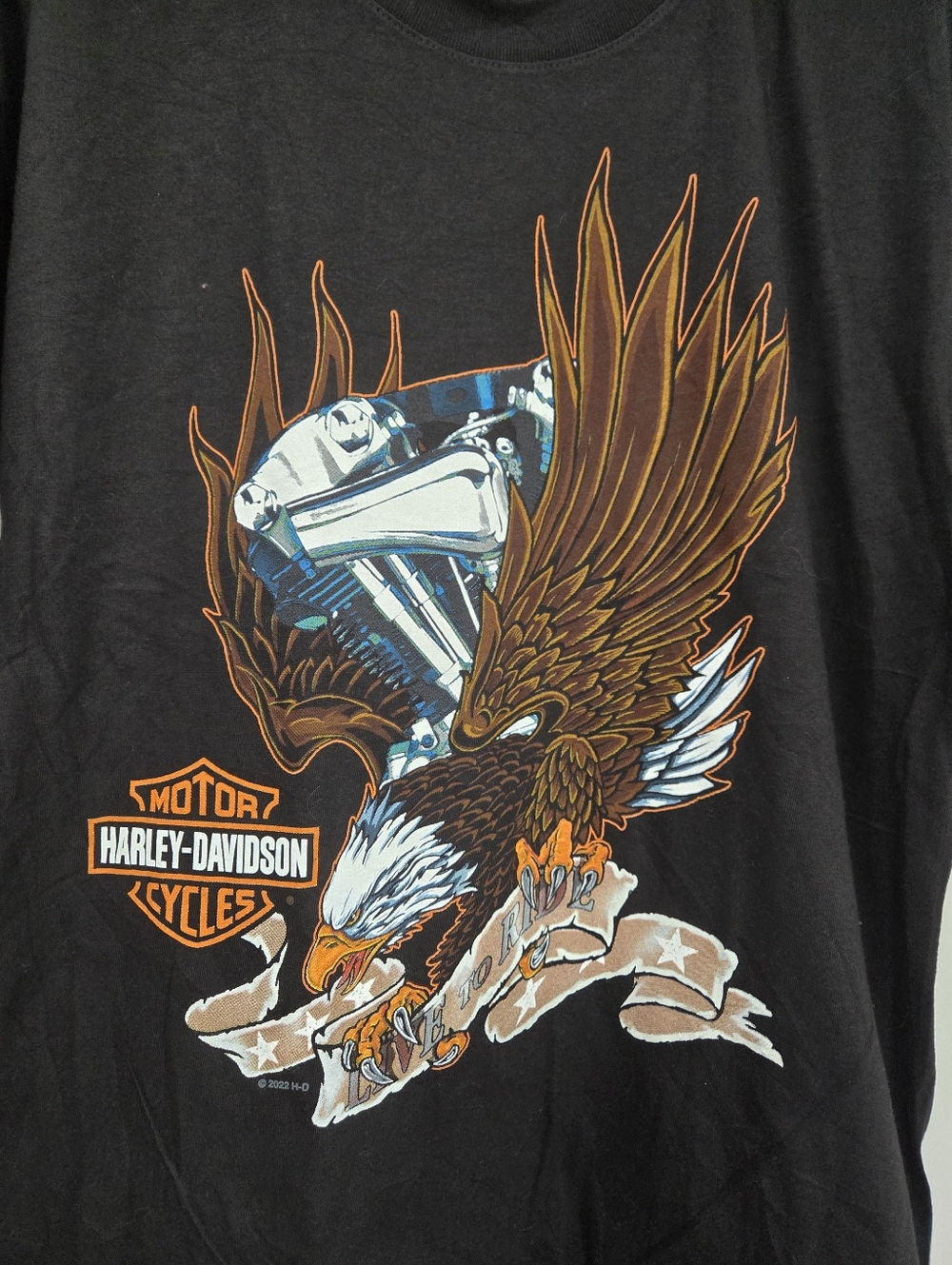 Harley Davidson Black T Tee Shirt With Eagle 2022 Unisex LARGE 100% Cotton - Picture 4 of 5